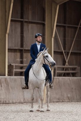 Bart Hartogsveld historische en klassieke dressuur lessen Maastricht en Limburg paard Caloroso